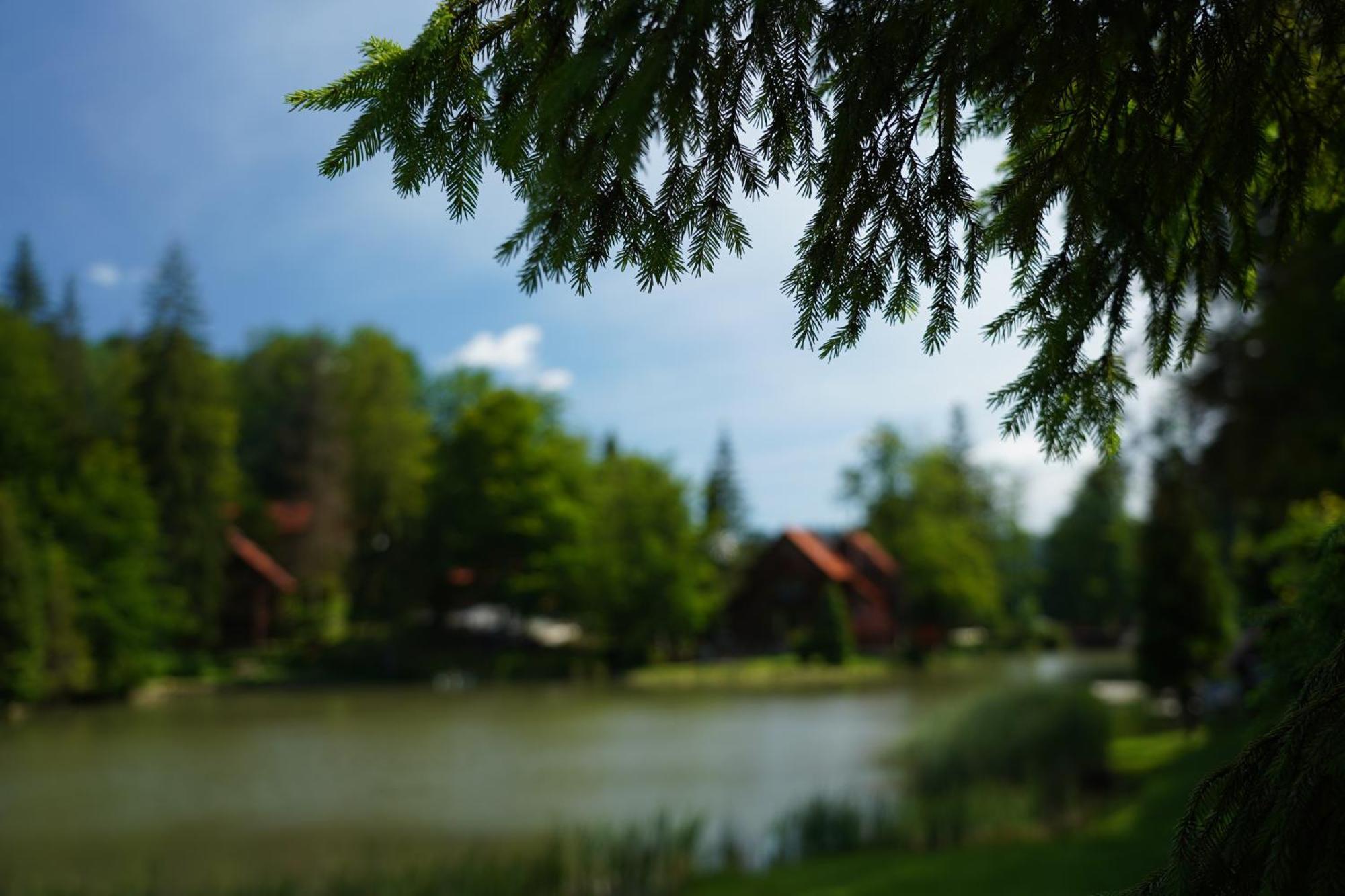 Hotel Ozero Vita Nizhniy Studenyy ภายนอก รูปภาพ
